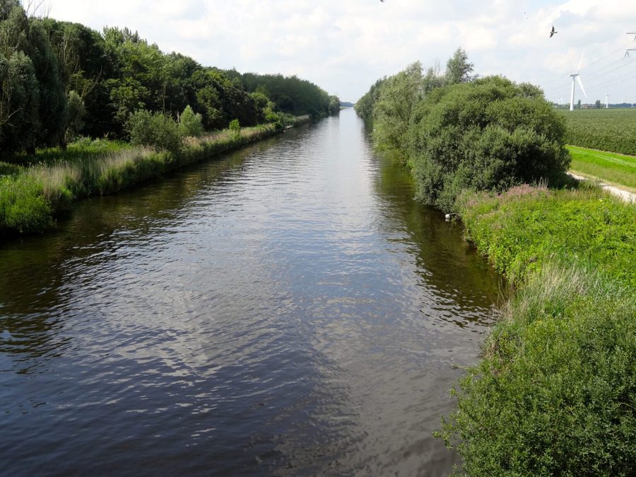 Ruhiges, von Grün umgebenes Wasser bei Biddinghuizen